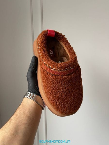 Жіночі зимові ботинки UGG Tazz Slipper Heritage Braid Hardwood 1143976-HWD PREMIUM фото