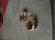 Сережки Cartier Trinity Earrings Classic Premium re-127108 фото 4