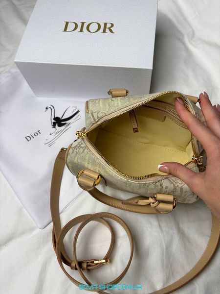 Жіноча сумка Christian Dior Groove Small Bag in Beige/White Jacquard with Gold Premium фото