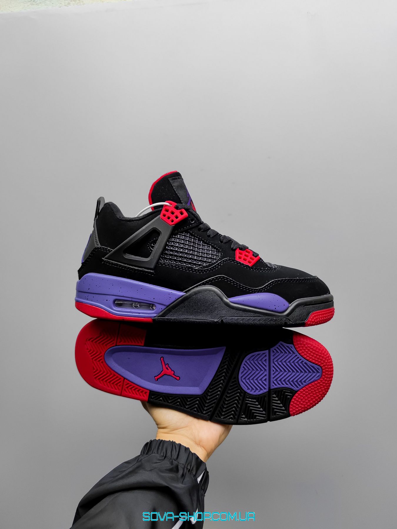 Jordan hot sale 11 raptors