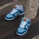 Чоловічі та жіночі кросівки Nike SB Dunk Pro x Why So Sad? &ldquo;The Predatory Bird&rdquo; re-9365 фото 7