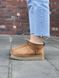 Женские зимние ботинки Ugg Classic Ultra Mini Platform Chestnut Premium re-9872 фото 5