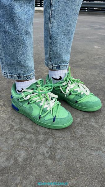 Жіночі баскетбольні кросівки Nike SB Dunk x Off White Green фото