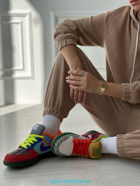Жіночі та чоловічі баскетбольні кросівки Nike Dunk SB Low "What The" фото