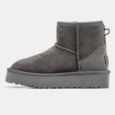 Жіночі зимові ботинки UGG Mini Platform Grey Premium фото