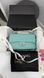 Женская сумка Chanel Classic 2.55 Medium Double Flap Tiffany with Silver Hardware Premium re-129750 фото 1