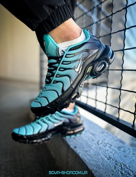 Мужские кроссовки Nike Air Max Plus Tn 'Light Retro' фото