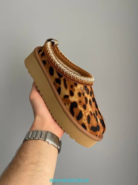 Жіночі зимові ботинки UGG Tasman Platform Leopard PREMIUM фото