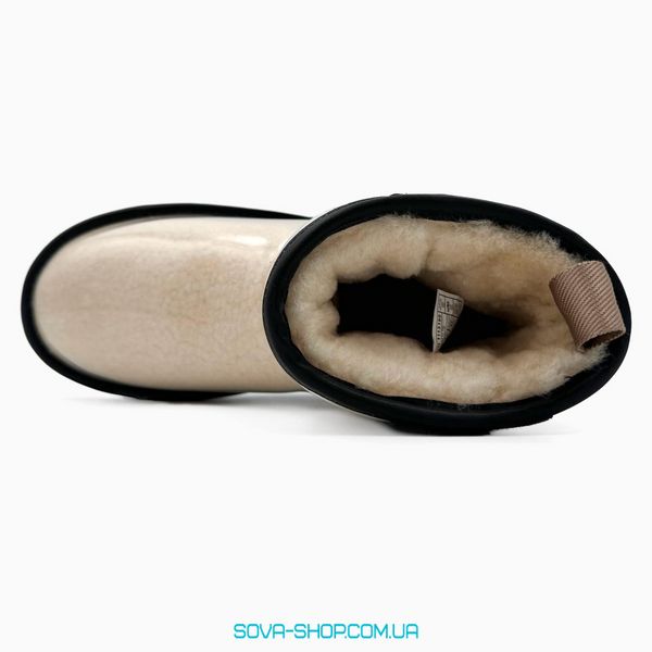 Жіночі зимові ботинки UGG Classic Clear Mini Natural/Black PREMIUM фото