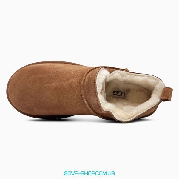 Жіночі зимові ботинки UGG Classic Micro Boot Chectnut PREMIUM фото