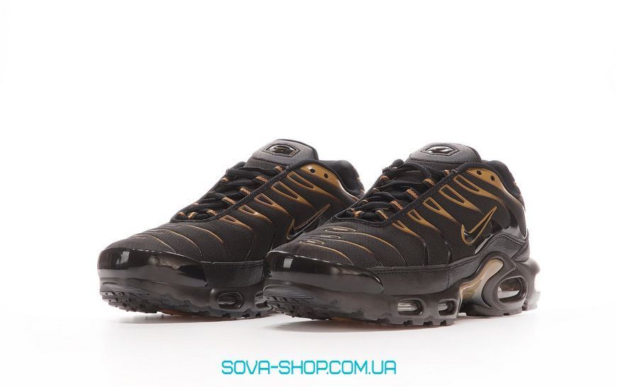 Мужские кроссовки Nike Air Max Tn Plus "Black Brown" фото