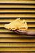 Жіночі кросівки Air Max 95 "Yellow" Nike 2569m00 фото 8