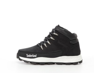 Зимові чоловічі ботинки Timberland Boots Winter PREMIUM NUBUCK WATERPROOF Black фото