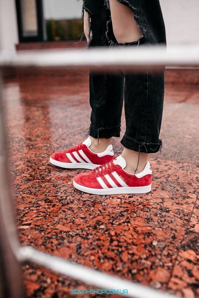 Жіночі кросівки Gazelle Red/White Adidas фото