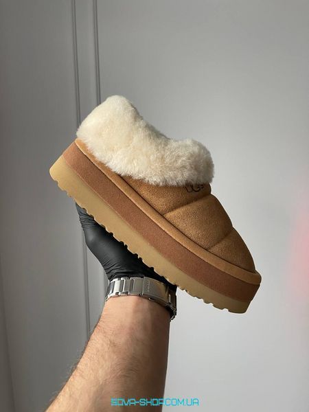 Жіночі зимові ботинки UGG Tazzlita Chestnut PREMIUM фото