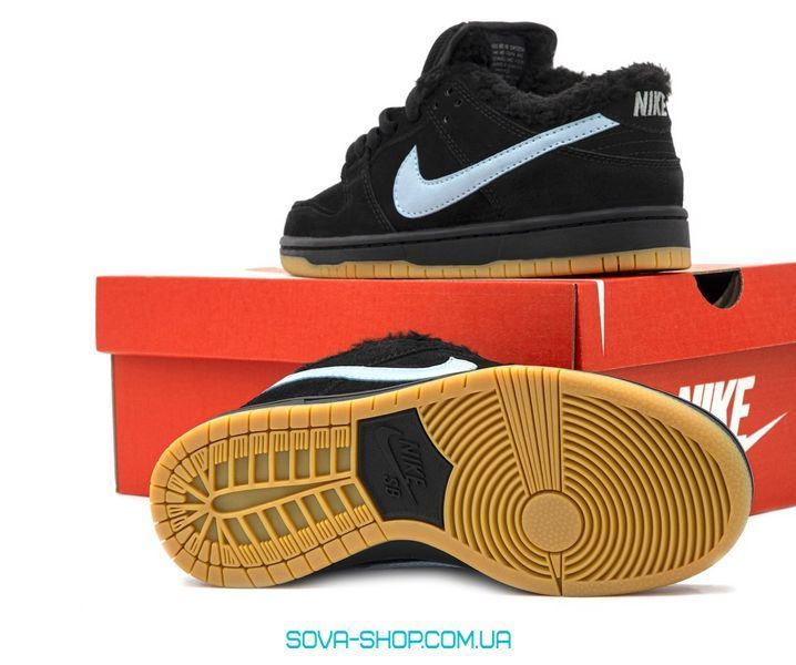 Чоловічі та жіночі кросівки Nike Air SB Dunk FOG Blue Fur фото