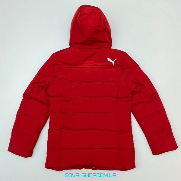 Мужская зимняя куртка Puma Цвет: красный фото