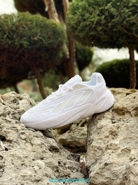 Чоловічі кросівки Adidas Ozelia White фото