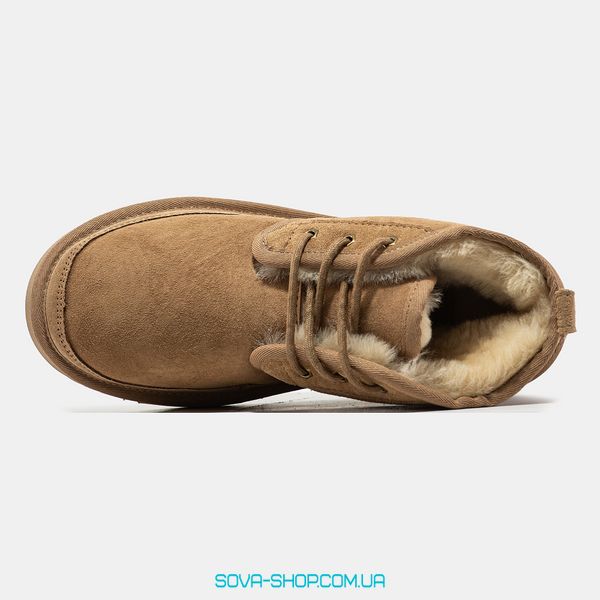 Чоловічі зимові ботинки UGG Neumel Chestnut Premium фото