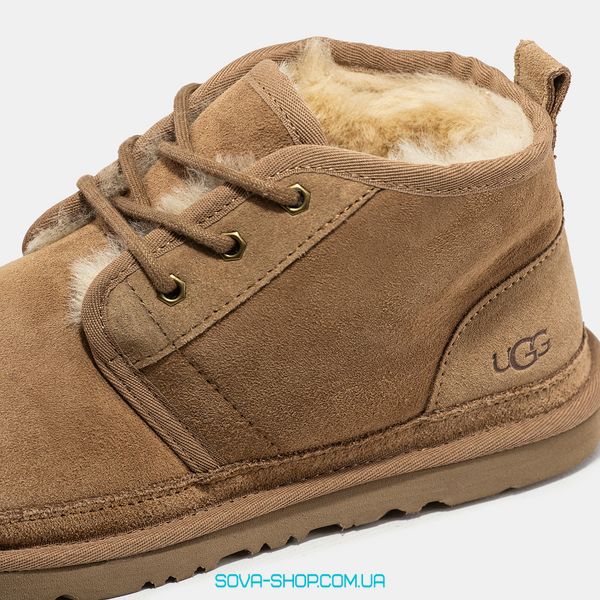 Мужские зимние ботинки UGG Neumel Chestnut Premium фото