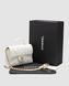 Женская сумка Chanel Flap Bag With Top Handle Mini White/Gold Premium re-128975 фото 1