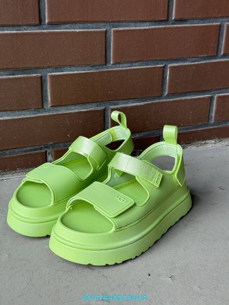 Жіночі сандалі Ugg Goldenglow Sandals Light green Premium фото