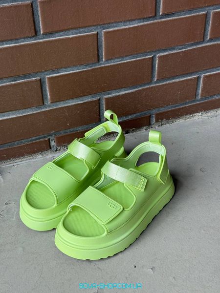 Женские сандали Ugg Goldenglow Sandals Light green Premium фото