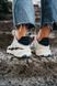 Жіночі кросівки Adidas Niteball Cream White/Pink re-5647 фото 10