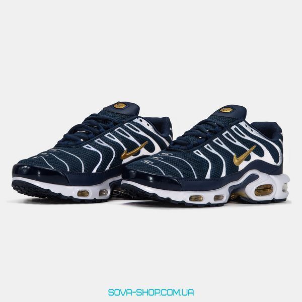 Чоловічі кросівки Nike Air Max TN "FFF" фото