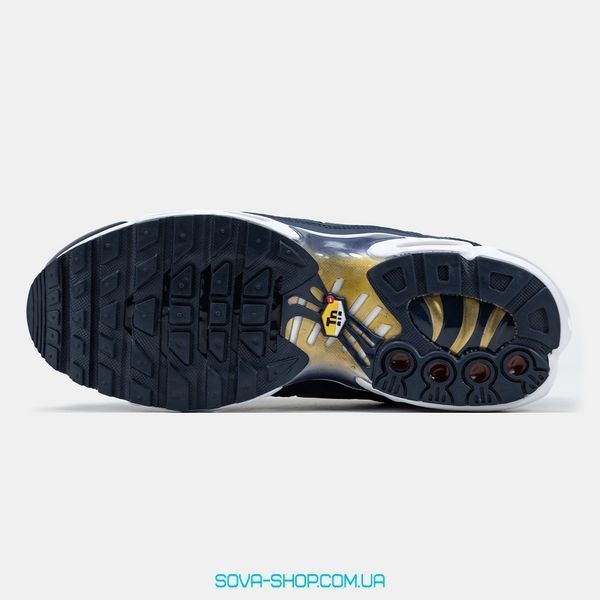 Чоловічі кросівки Nike Air Max TN "FFF" фото