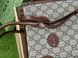 Жіноча сумка Gucci Ophidia Leather-Trimmed Monogrammed Coated-Canvas Tote Bag Premium re-11510 фото 2