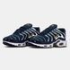 Чоловічі кросівки Nike Air Max TN "FFF" re-12618 фото 6