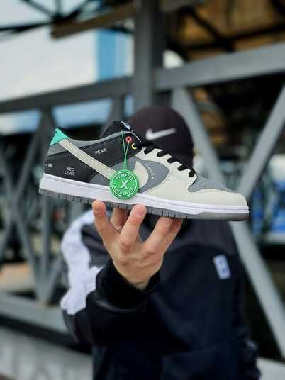 Мужские кроссовки Nike SB Dunk Low Pro ISO “VX1000” Camcorder