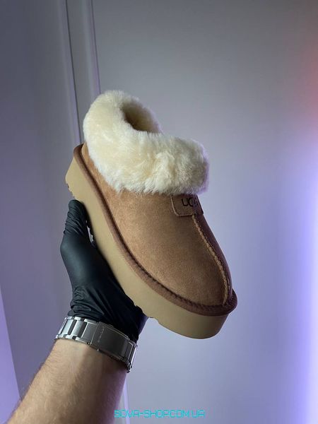 Женские зимние ботинки UGG Coquette Platform Chestnut Premium фото