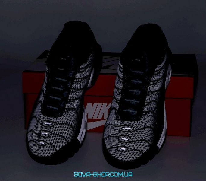 Чоловічі кросівки Nike Air Max TN Plus Grey Black Blue фото