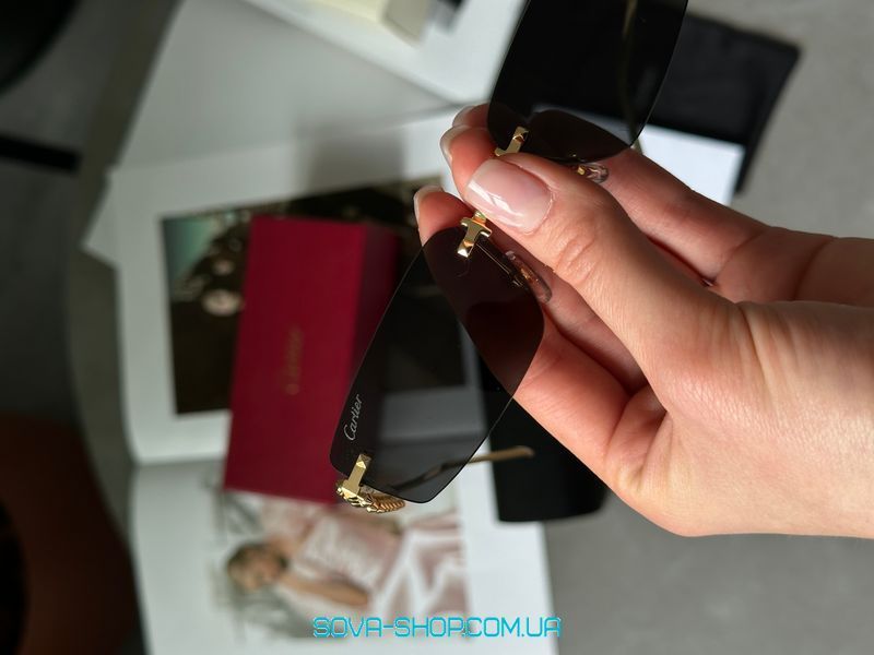 Сонцезахисні окуляри Cartier Clash Black/Gold CT0544S 001 L Cat.2 Premium фото