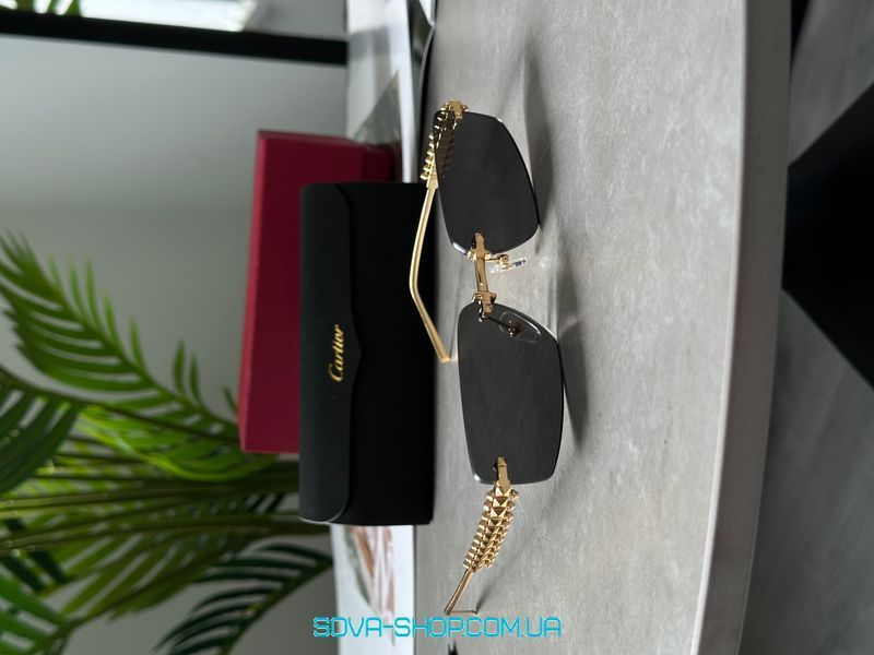 Сонцезахисні окуляри Cartier Clash Black/Gold CT0544S 001 L Cat.2 Premium фото