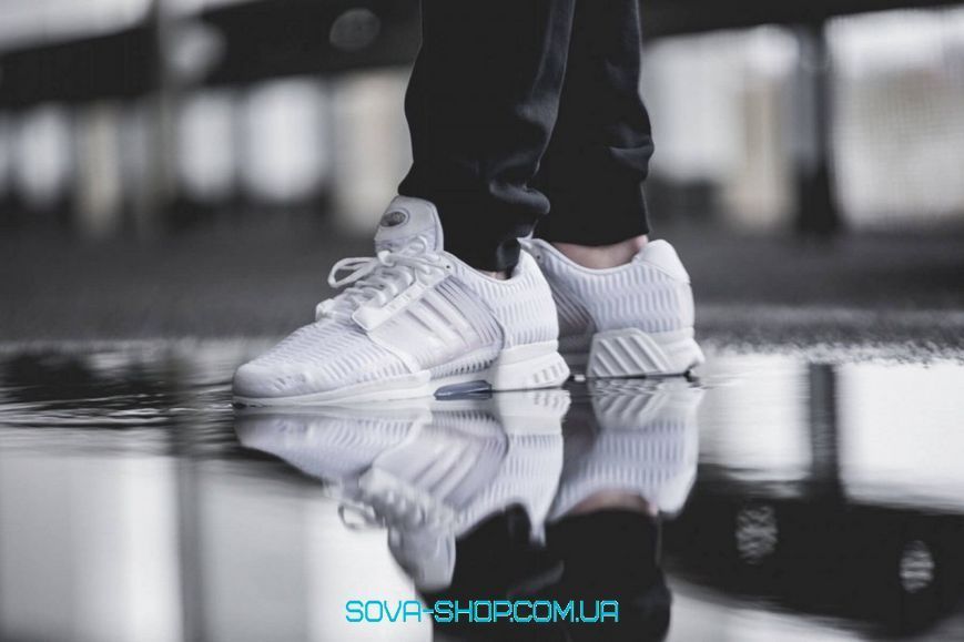 Чоловічі кросівки ClimaCool 1 White Adidas фото