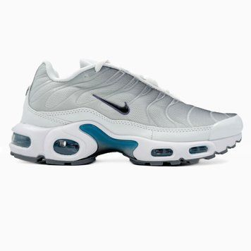 Чоловічі кросівки Nike Air Max TN Plus Grey/White/Blue фото