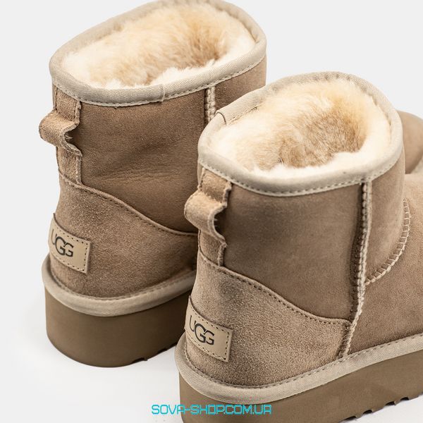 Женские зимние ботинки UGG Mini Platform Light Brown Premium фото