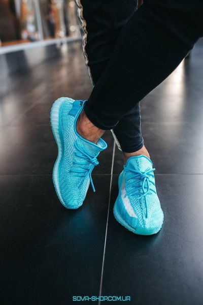 Чоловічі та жіночі кросівки Yeezy Boost 350 V2 Bluewater Adidas фото