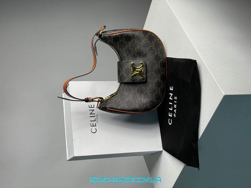 Жіноча сумка Celine Medium Ava Triomphe Bag in Triomphe Canvas And Calfskin Premium фото