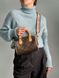 Жіноча сумка Louis Vuitton Speedy Nano Brown/Pink Premium re-10776 фото 3