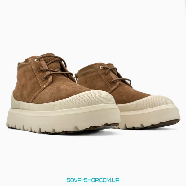 Мужские зимние ботинки UGG Neumel Hybrid Chestnut/Beige PREMIUM фото