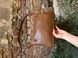 Женская сумка Miu Miu Aventure Nappa Leather Bag Brown Premium re-126334 фото 3