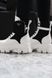Зимние женские ботинки (натуральная кожа) PRADA Milano Monolith White Black Premium re-3989 фото 3