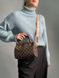 Жіноча сумка Louis Vuitton Speedy Nano Brown/Chess Premium re-10777 фото 1