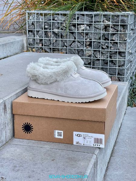 Жіночі зимові ботинки Ugg Coquette Light Grey Premium фото