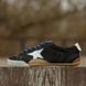 Женские кроссовки GGDB/GG True-Star Low Sneakers in Black Premium re-128569 фото 1