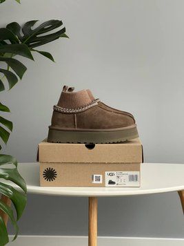 Женские зимние ботинки UGG Tazz Platform Sock Dusted Cocoa PREMIUM фото